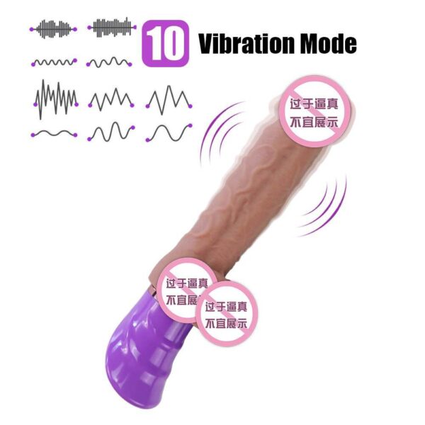 vibrating penis (5)
